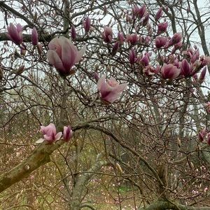 Meet your Posher, Jillian